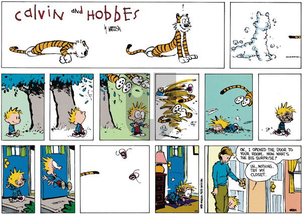 Calvin and Hobbes on Sunday September 23, 1990 Comic Strip
