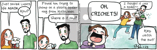Breaking Cat News on Thursday January 23, 2020 Comic Strip