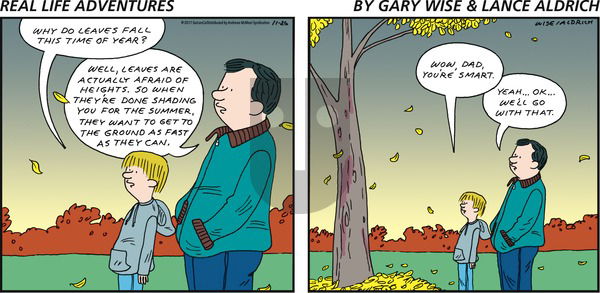 Real Life Adventures on Sunday November 26, 2017 Comic Strip