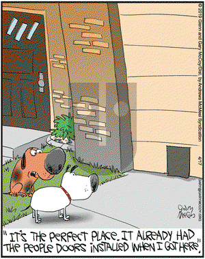 The Flying McCoys on Wednesday April 17, 2019 Comic Strip
