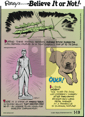 Ripley's Believe It or Not on Tuesday January 19, 2021 Comic Strip