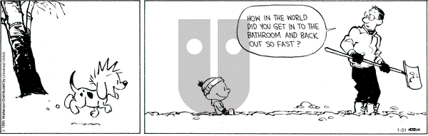 Calvin and Hobbes on Saturday January 31, 2015 Comic Strip