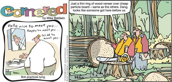 Cornered on Sunday July 8, 2007 Comic Strip