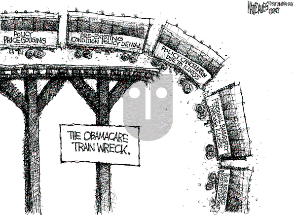 Matt Davies on Wednesday July 31, 2013 Comic Strip