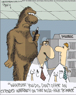 The Flying McCoys on Tuesday July 1, 2008 Comic Strip