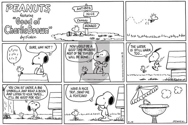 Peanuts on Sunday September 14, 1980 Comic Strip