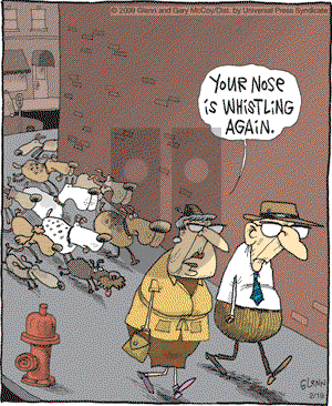 The Flying McCoys on Thursday February 19, 2009 Comic Strip