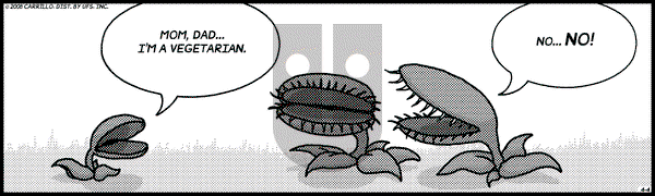 F Minus on Friday April 4, 2008 Comic Strip