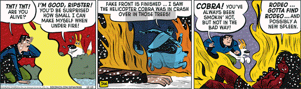 Rip Haywire on Saturday December 13, 2014 Comic Strip