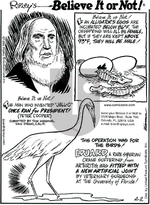 Ripley's Believe It or Not on Friday April 2, 1999 Comic Strip