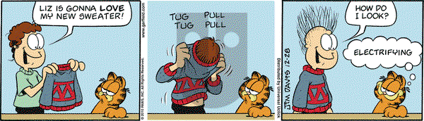 Garfield on Tuesday December 28, 2010 Comic Strip