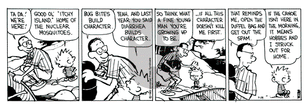 Calvin and Hobbes on Wednesday July 19, 1989 Comic Strip