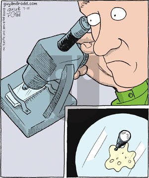 Brevity on Saturday November 1, 2008 Comic Strip