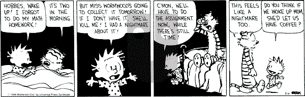 Calvin and Hobbes - Friday March 11, 1994 Comic Strip