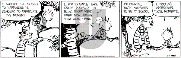 Calvin and Hobbes on Monday May 4, 2015 Comic Strip