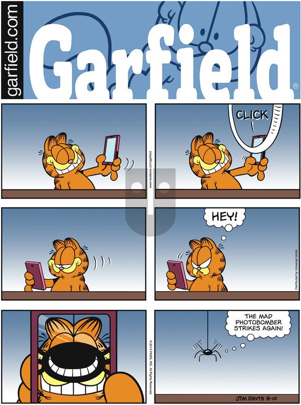 Garfield - Sunday August 10, 2014 Comic Strip