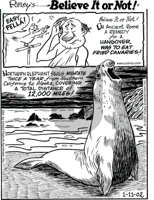 Ripley's Believe It or Not on Friday January 11, 2002 Comic Strip