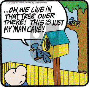 Ziggy on Friday July 9, 2021 Comic Strip