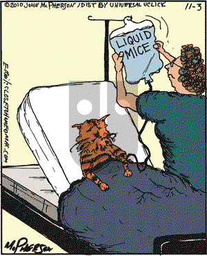 Close to Home on Wednesday November 3, 2010 Comic Strip