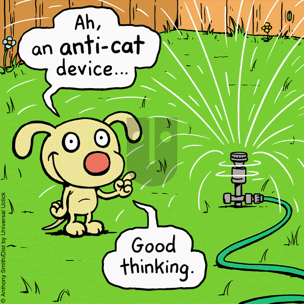 Cattitude — Doggonit on Friday April 25, 2025 Comic Strip
