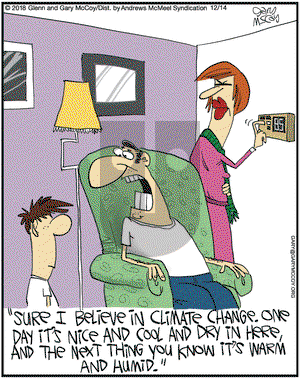 The Flying McCoys on Friday December 14, 2018 Comic Strip