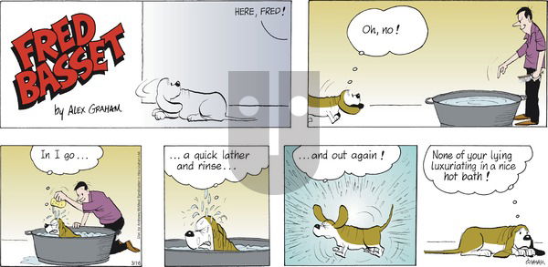 Fred Basset on Sunday March 16, 2025 Comic Strip