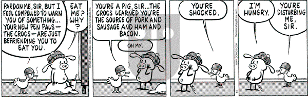 Pearls Before Swine on Thursday August 7, 2008 Comic Strip