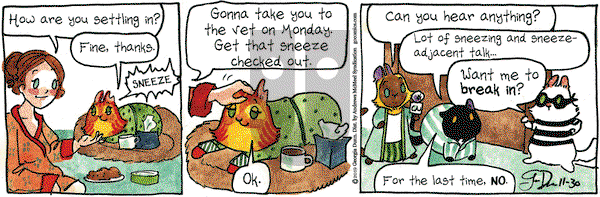 Breaking Cat News on Saturday November 30, 2019 Comic Strip