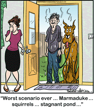 Marmaduke on Tuesday May 7, 2019 Comic Strip