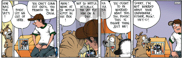 Get Fuzzy on Tuesday June 11, 2013 Comic Strip