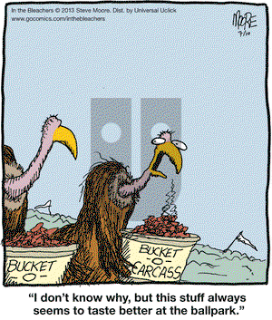 In the Bleachers on Wednesday July 10, 2013 Comic Strip