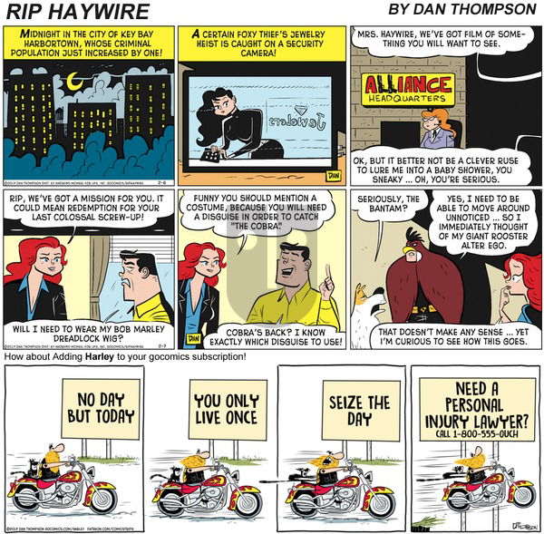 Rip Haywire on Sunday December 27, 2020 Comic Strip