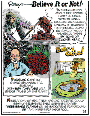 Ripley's Believe It or Not - Monday November 1, 2021 Comic Strip
