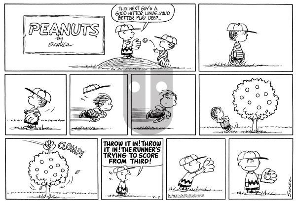 Peanuts on Sunday August 9, 1964 Comic Strip