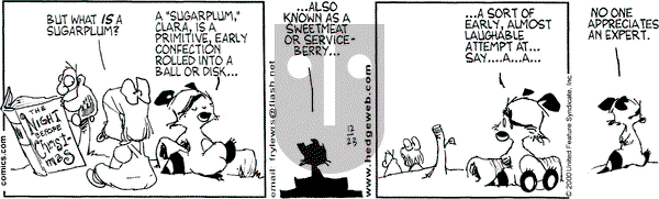 Over the Hedge on Tuesday April 23, 2002 Comic Strip