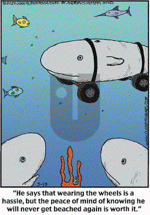 Close to Home on Friday September 13, 2024 Comic Strip