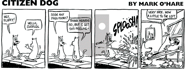 Citizen Dog on Monday May 5, 2025 Comic Strip