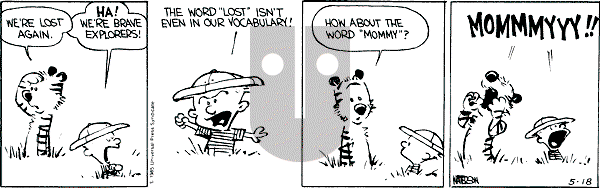 Calvin and Hobbes - Saturday May 18, 1991 Comic Strip