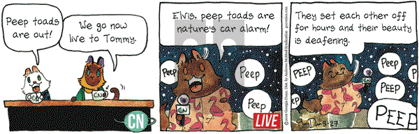 Breaking Cat News on Monday May 27, 2019 Comic Strip