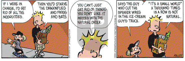 Frazz on Saturday July 23, 2005 Comic Strip