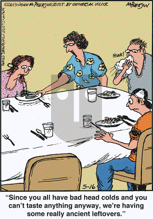 Close to Home on Thursday May 16, 2013 Comic Strip