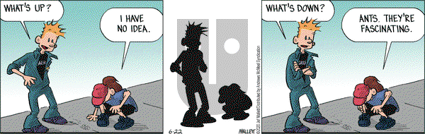 Frazz on Monday June 22, 2020 Comic Strip