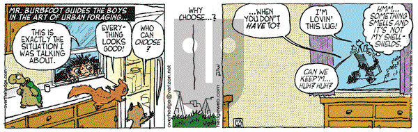 Over the Hedge on Monday March 12, 2007 Comic Strip