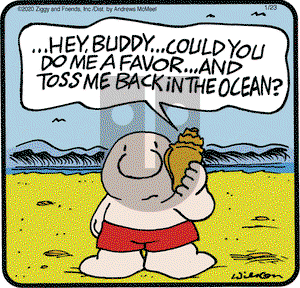Ziggy on Thursday January 23, 2020 Comic Strip