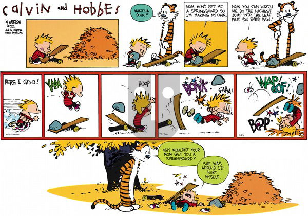 Calvin and Hobbes on Sunday October 11, 1992 Comic Strip