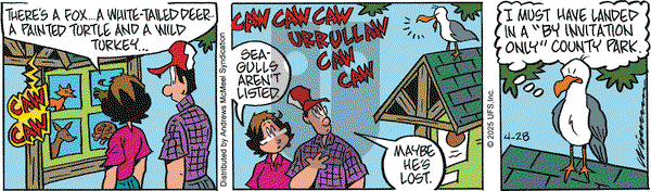 Rose is Rose on Monday April 28, 2025 Comic Strip