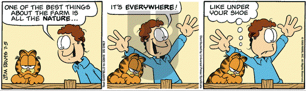 Garfield - Saturday July 5, 2008 Comic Strip