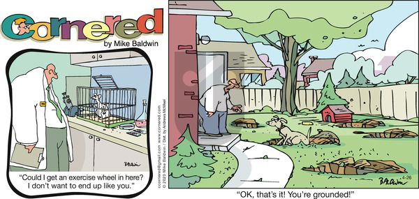 Cornered on Sunday April 26, 2020 Comic Strip