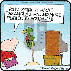 Ziggy on Friday August 29, 2003 Comic Strip