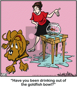 Marmaduke on Tuesday June 4, 2013 Comic Strip